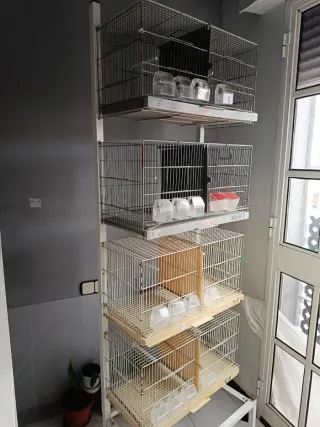 Carrello con 4 gabbie Pedro