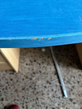 Escritorio azul y beige de madera