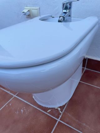 Bidé Roca Blanco Porcelana