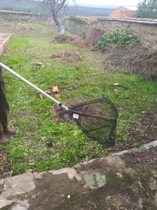 Red de pesca con mango