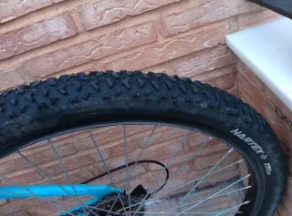 Bicicleta de montaña QUER JUNGLE 24" azul