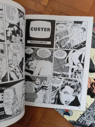 Lote Light & Bold, de vuelta a casa, Custer