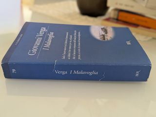 I malavoglia