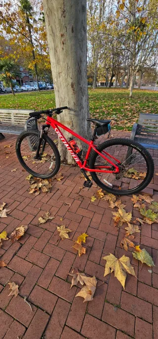Bicicleta de Montaña Roja