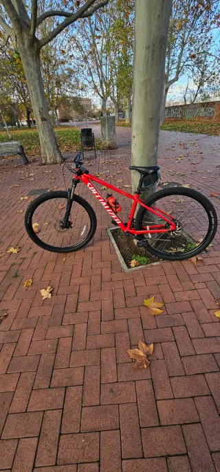 Bicicleta de Montaña Roja
