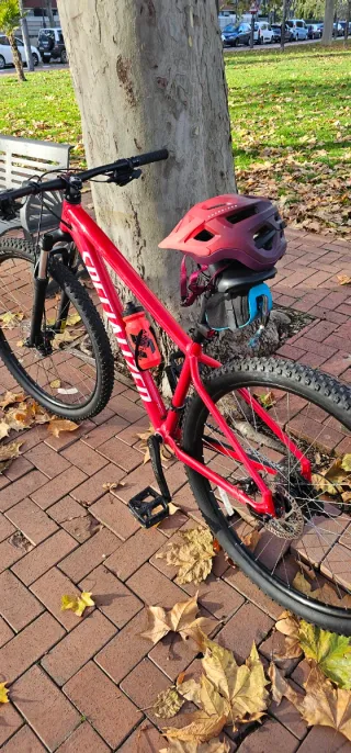 Bicicleta de Montaña Roja