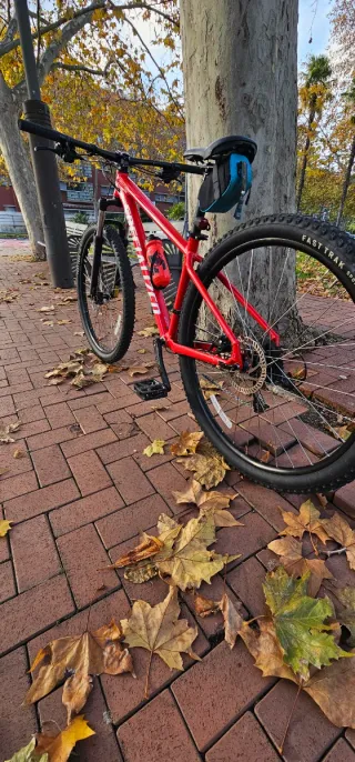 Bicicleta de Montaña Roja