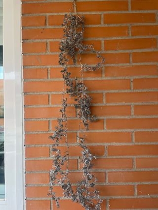 Guirnalda Navideña Plateada