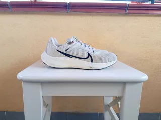 Nike Pegasus 40 Grigio/Bianco