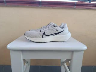 Nike Pegasus 40 Grigio/Bianco