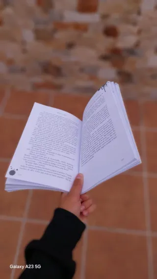 ERIK VOGLER 1: LOS CRÍMENES DEL REY BLANCO (Spa...