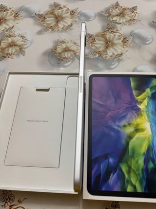 iPad Pro 11 2ª Gen Plata