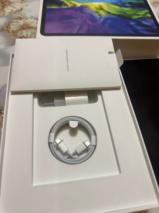 iPad Pro 11 2ª Gen Plata