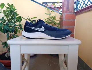 Nike Pegasus Rival Fly 3