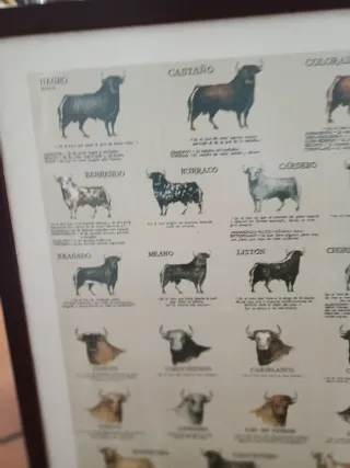 Cuadro Taurino Toros de Lidia