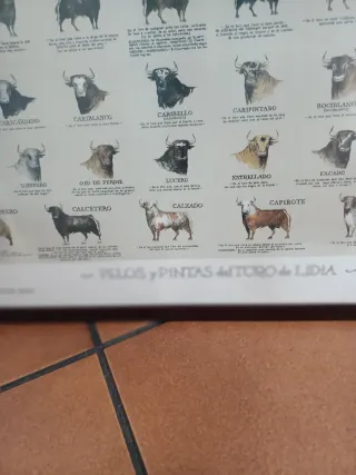 Cuadro Taurino Toros de Lidia