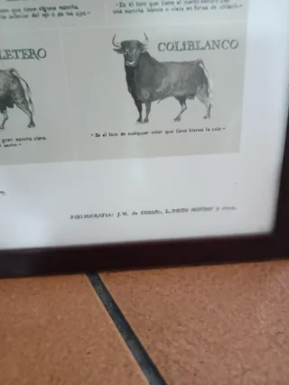 Cuadro Taurino Toros de Lidia