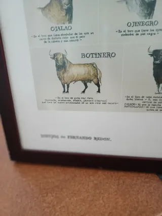 Cuadro Taurino Toros de Lidia