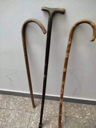 Lote 3 bastoni da passeggio in legno antichi