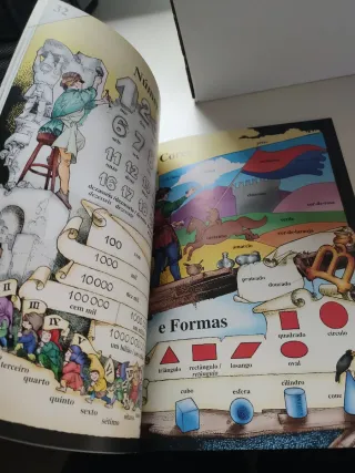 Diccionario ilustrado portugués. Nuevo