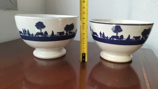 2 Cuencos Porcelana Azul Blanco Campo