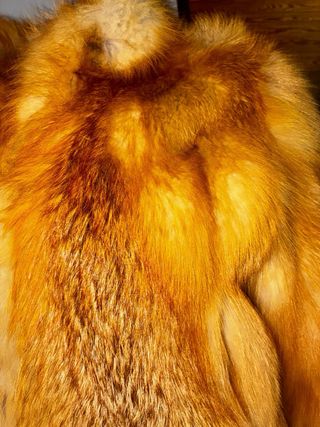 Cazadora Piel Zorro Auténtica