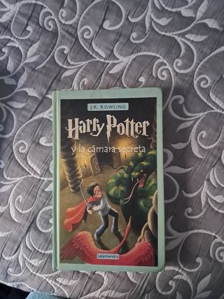 Harry Potter Y La Piedra Filosofal