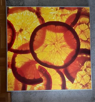 Seis Cuadros Decorativos Frutas para Bares