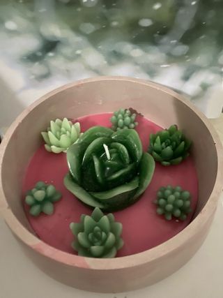 Vela artesanal aromática suculenta