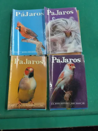 Revista ornitología pajaros
