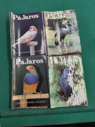 Revista ornitología pajaros