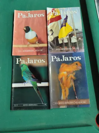 Revista ornitología pajaros
