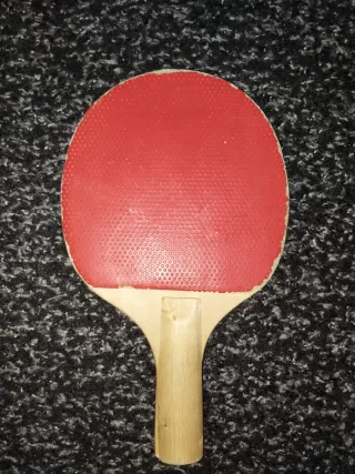 Palas de tenis de mesa