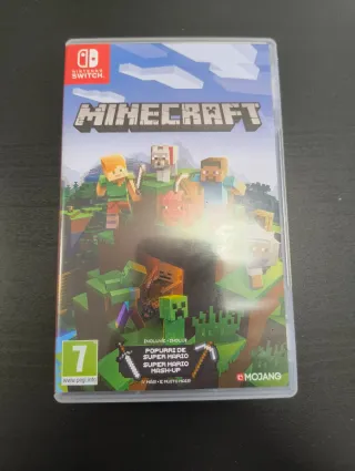 Minecraft Nintendo Switch
