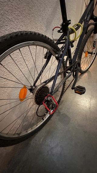 Bicicleta infantil 20 pulgadas