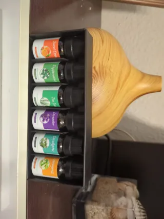 Set Aromaterapia Homàsy 500ml