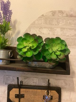 Estantería recibidor con tres macetas decorativas