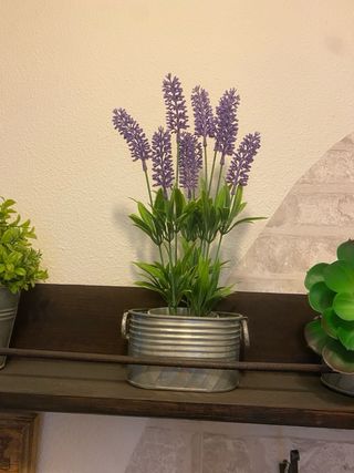 Estantería recibidor con tres macetas decorativas