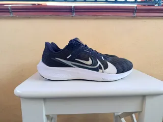 Nike Pegasus 40 Scarpe da Corsa Blu/Bianco