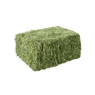 Pacas de alfalfa pequeñas (30-35kg)
