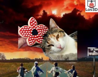 Cepillo de Mascotas Stranger Things