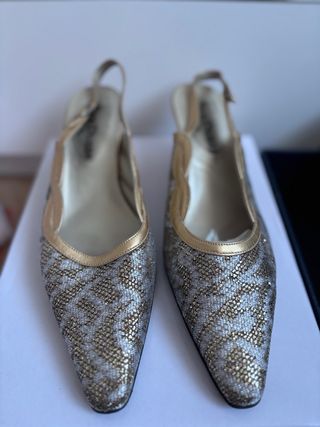 Zapatos de fiesta dorados y plateados