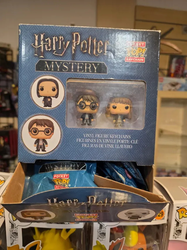 Harry Potter Mystery Pocket Pop! Keychain