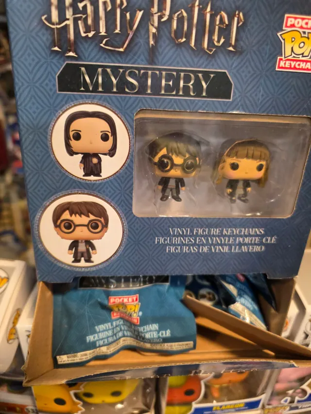 Harry Potter Mystery Pocket Pop! Keychain