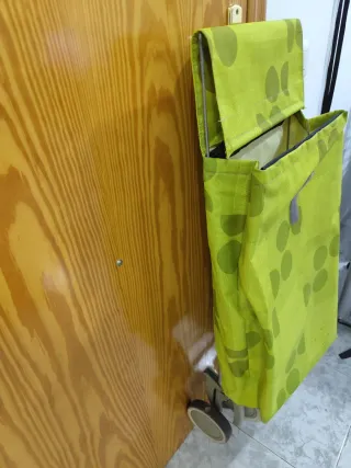 Carrito de la compra verde