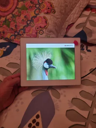 Marco Digital AgfaPhoto AF5087PS 8