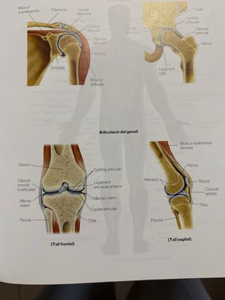 Libro Biologia y Geologia 3 ESO