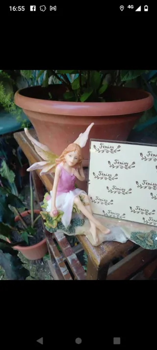 Portafoto Fatina Veronese 2001