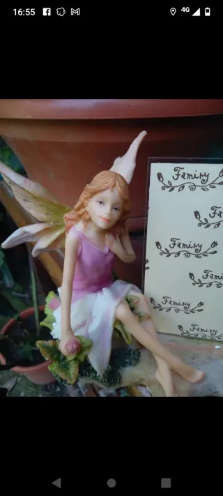 Portafoto Fatina Veronese 2001