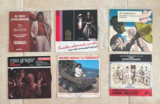 Lote de 26 discos vinilo